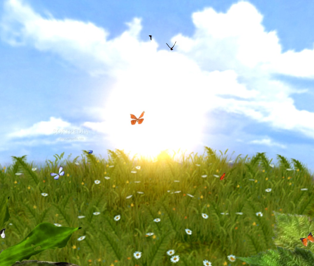 http://www.softpedia.com/screenshots/Butterflies-Animated-Wallpaper_1.jpg