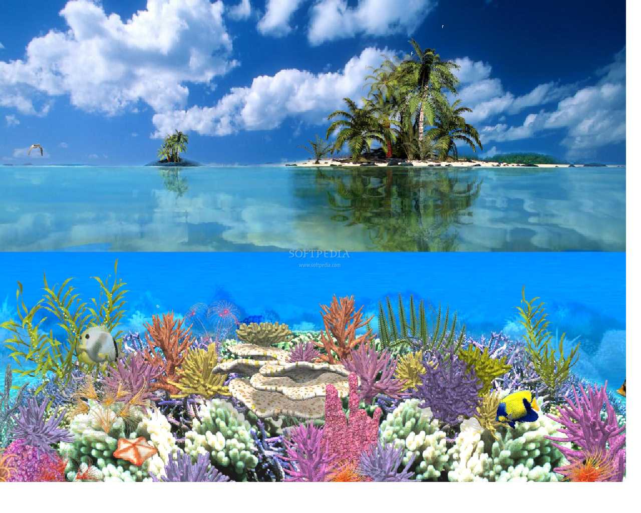 Coral-Island-Screen-Saver_1.jpg