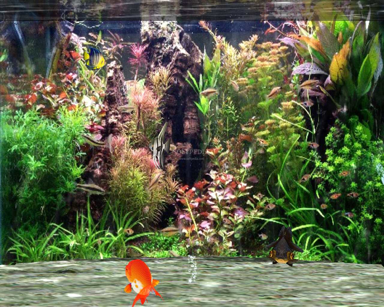 Fantastic-3D-Fish-Aquarium_1 - مجموعه ای زیبا از ماهی های آکواریومی - متا