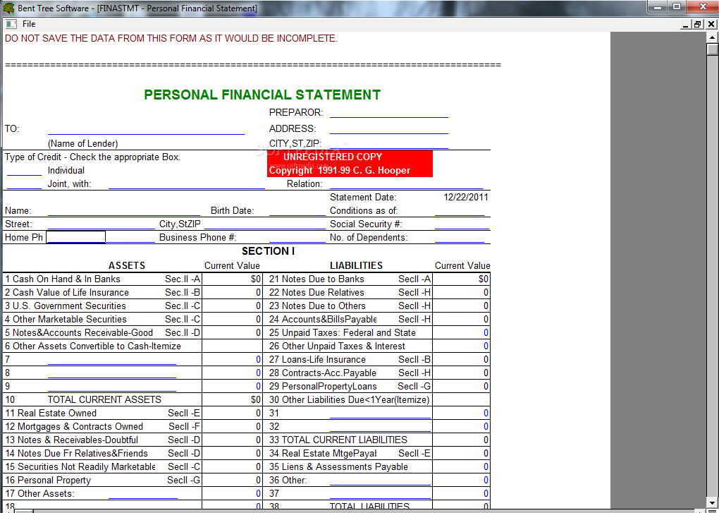 Personal financial statement pdf