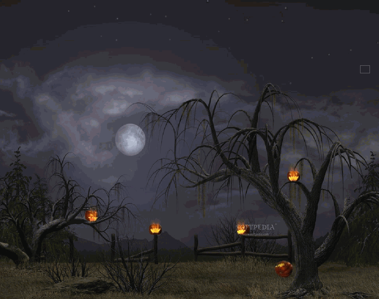 animated halloween wallpaper
