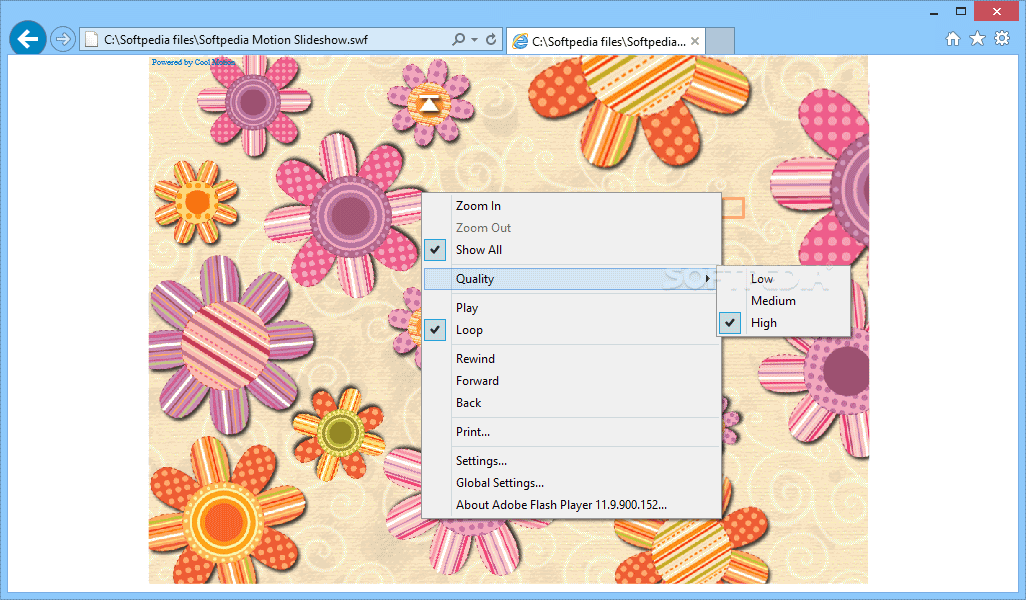 Adobe Flash Player screenshot 3
