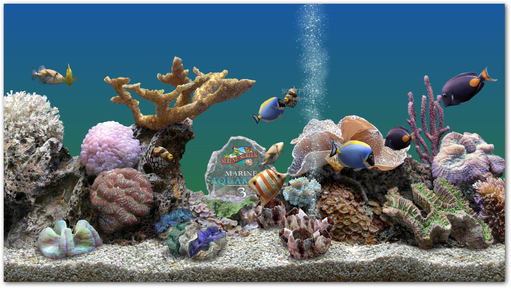 fish tank background