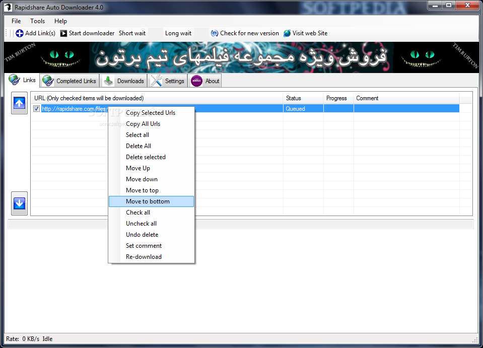 Rapidshare Auto Downloader screenshot 1