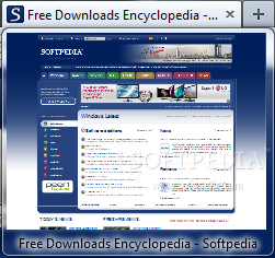 http://www.softpedia.com/screenshots/Tab-Scope_1.png