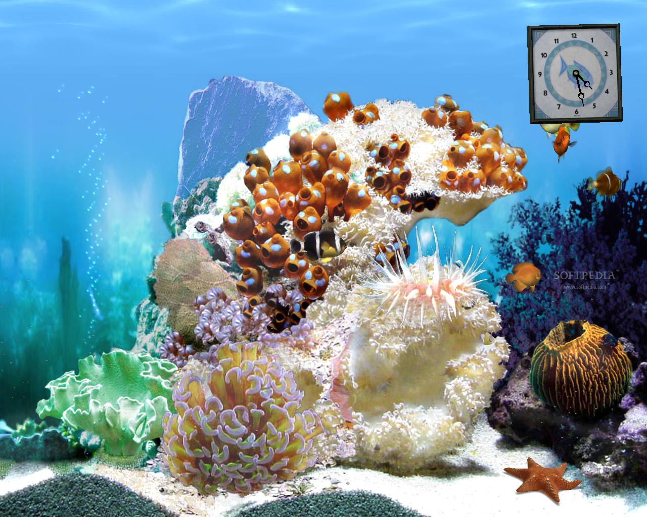 برنامج White Reef Animated Wallpaper 5.07