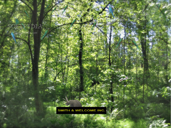 forest wallpapers forest pictures. wallpaper forest. wallpaper